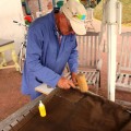 reparatie zeilen