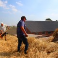 Dorsen van graan